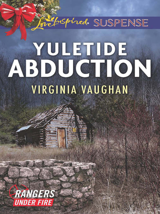 Cover image for Yuletide Abduction